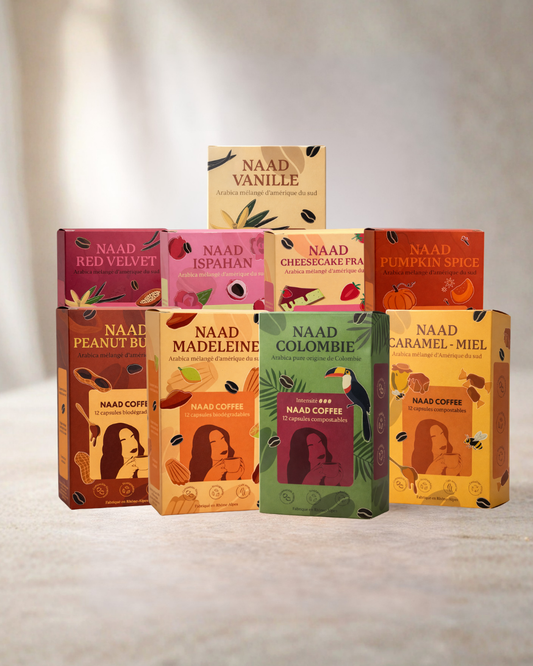 Lot de 108 Capsules - 9 saveurs